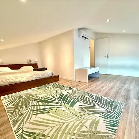 Duplex 125 M2 דירה ניס