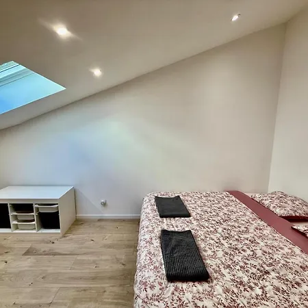 Duplex 125 M2 ניס